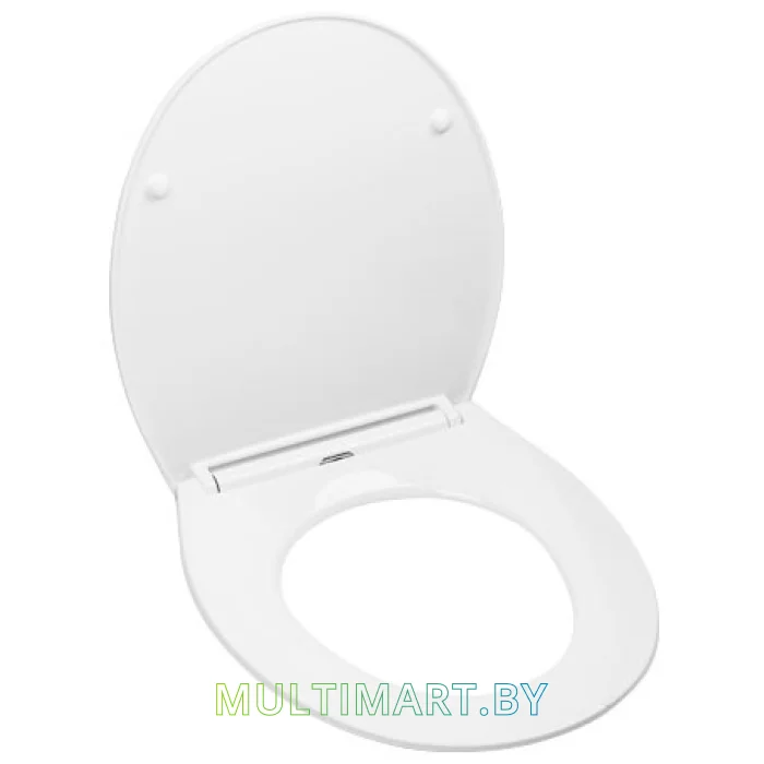 Сиденье для унитаза AV Engineering Arco AVWHR210C